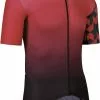 Assos EQUIPE RS Summer SS Jersey Prof Edition - Rød 1 Assos EQUIPE RS Summer SS Jersey Prof Edition - Rød -Assos Salg Vare 2241